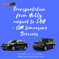 GM Limousine Services image 11